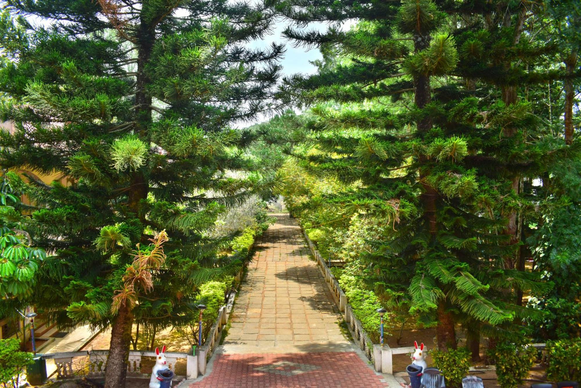 Jains Royal Palace Resorts 옐라기리 외부 사진